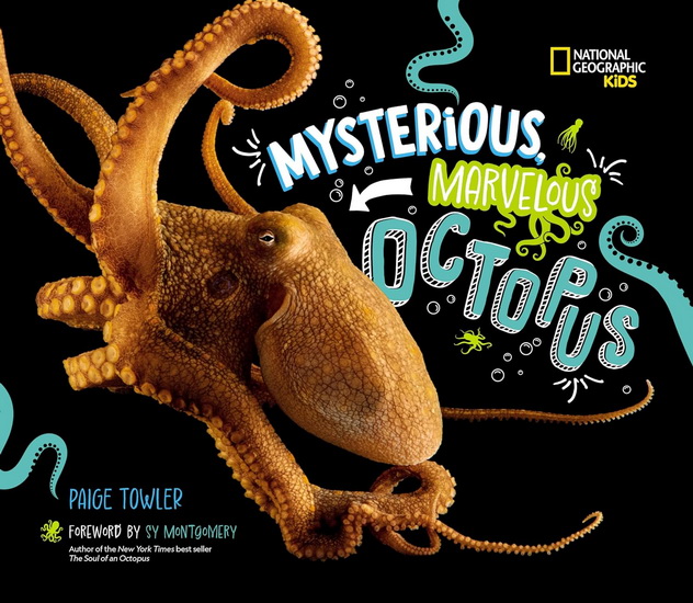 Mysterious, Marvelous Octopus! - PAIGE TOWLER