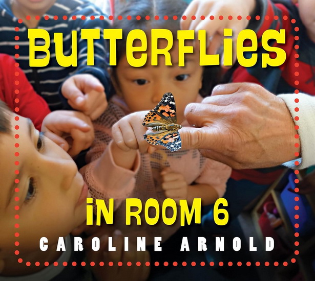 Butterflies in Room 6: See How They Grow - CAROLINE ARNOLD