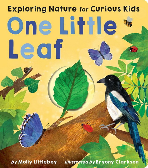 One Little Leaf: Exploring Nature for Curious Kids - MOLLY LITTLEBOY - BRYONY CLARKSON