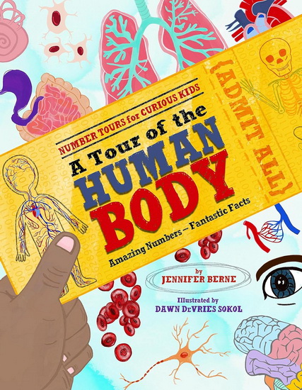 A Tour of the Human Body: Amazing Numbers--Fantastic Facts - JENNIFER BERNE - DAWN DEVRIES SOKOL