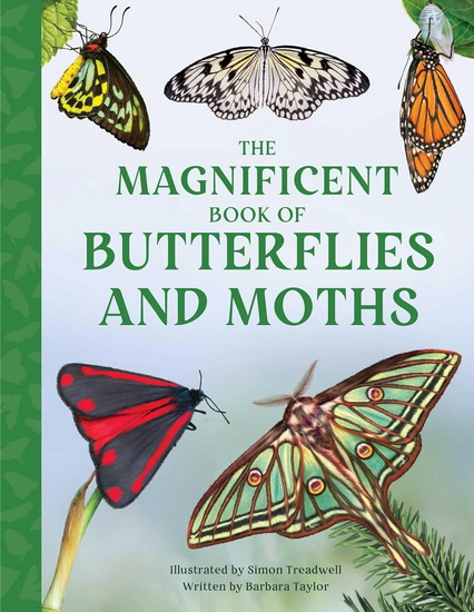 Magnificent Book of Butterflies & Moths - BARBARA TAYLOR