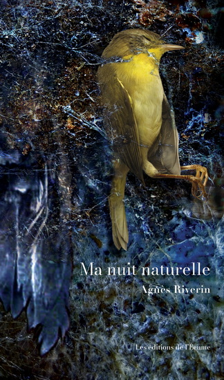 Ma nuit naturelle - AGNÈS RIVERIN