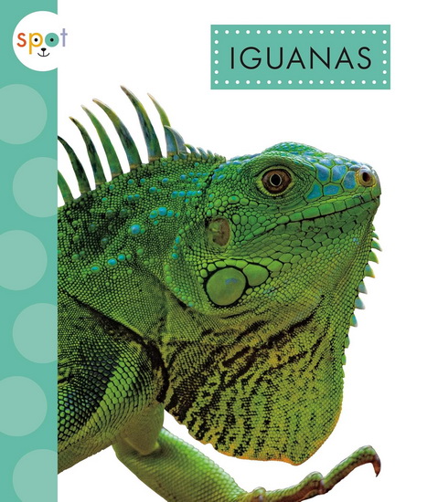 Iguanas - ALISSA THIELGES