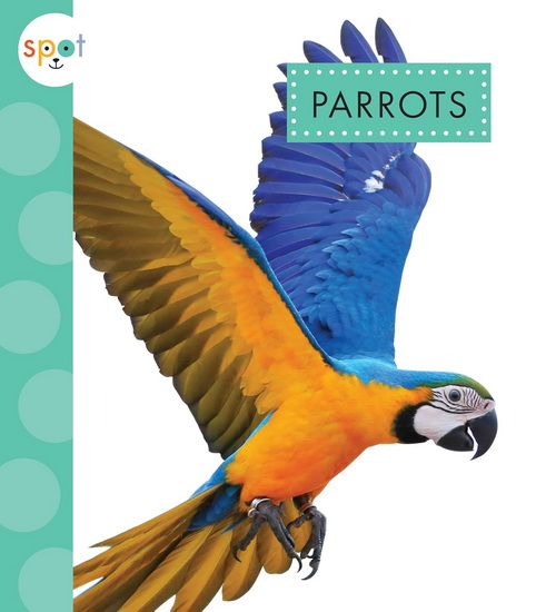 Parrots - ALISSA THIELGES