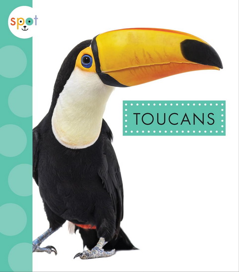 Toucans - ALISSA THIELGES