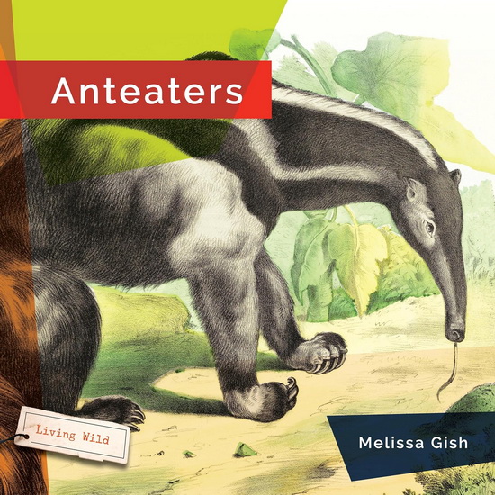 Anteaters - MELISSA GISH