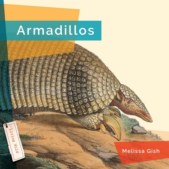 Armadillos - MELISSA GISH