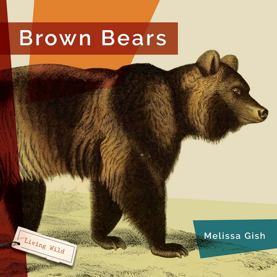 Brown Bears - MELISSA GISH