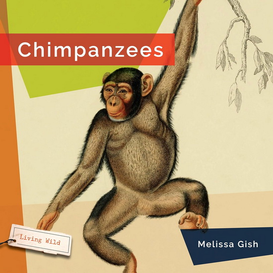 Chimpanzees - MELISSA GISH