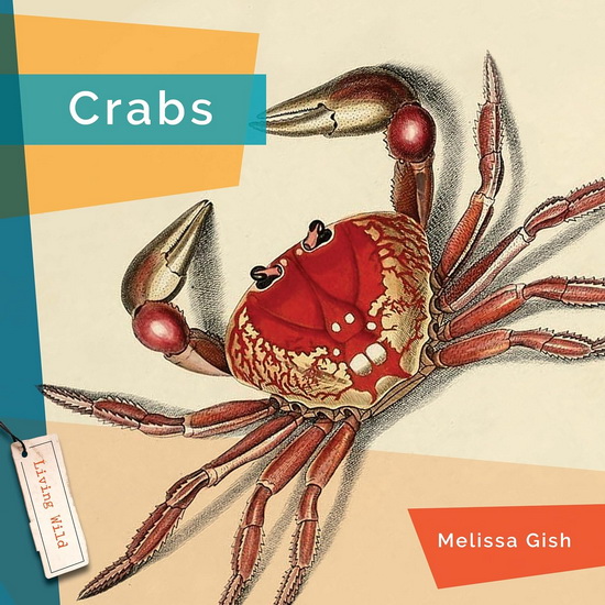 Crabs - MELISSA GISH
