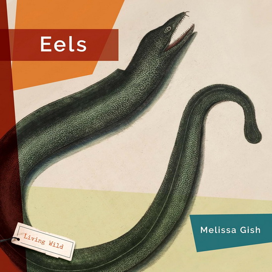 Eels - MELISSA GISH