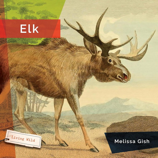 Elk - MELISSA GISH