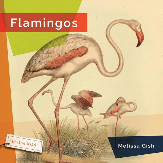 Flamingos - MELISSA GISH