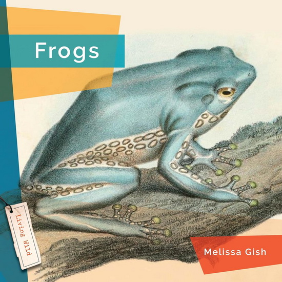 Frogs - MELISSA GISH