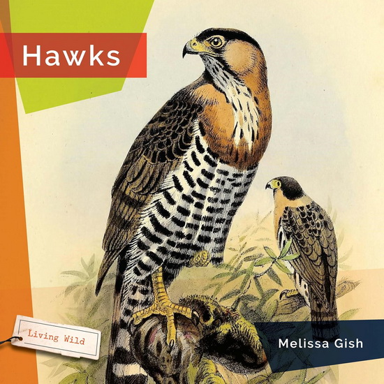 Hawks - MELISSA GISH