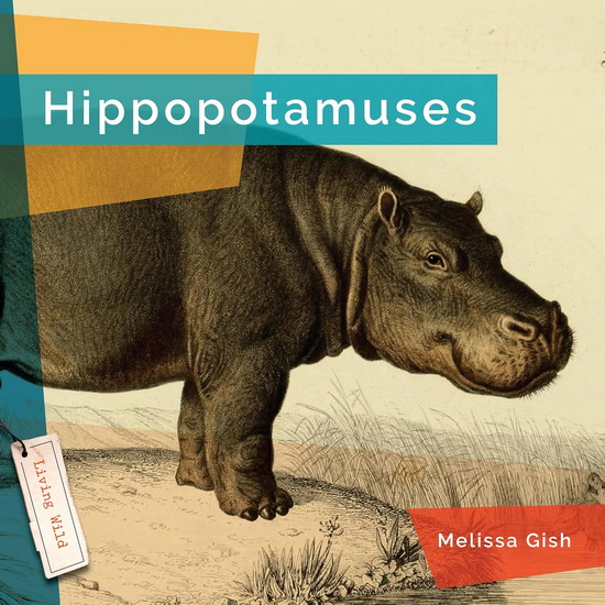 Hippopotamuses - MELISSA GISH