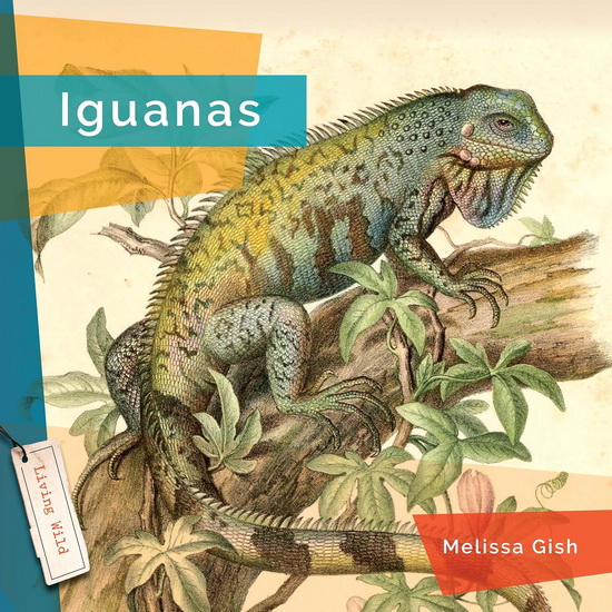 Iguanas - MELISSA GISH