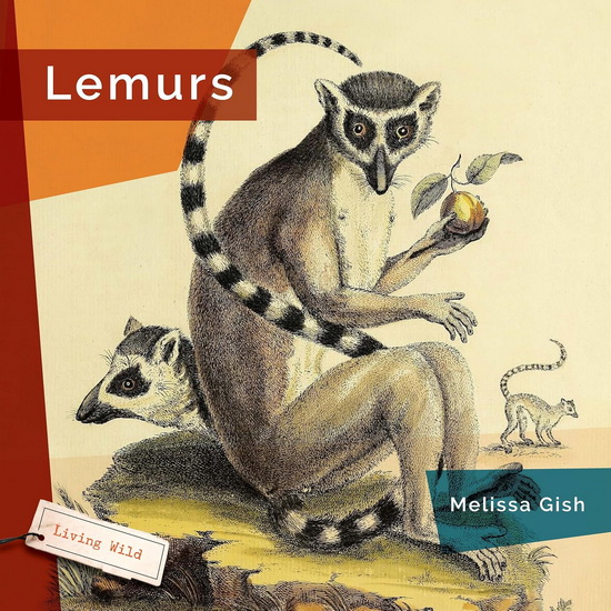 Lemurs - MELISSA GISH