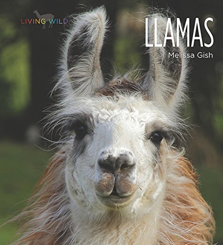Llamas - MELISSA GISH