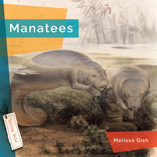 Manatees - MELISSA GISH