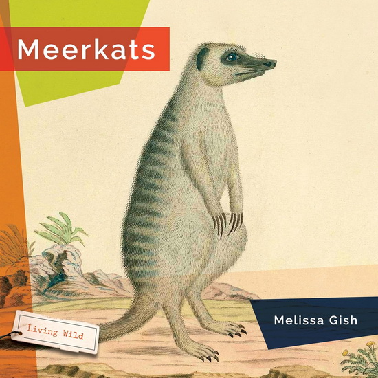 Meerkats - MELISSA GISH
