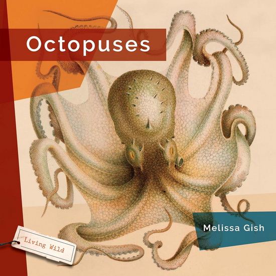 Octopuses - MELISSA GISH