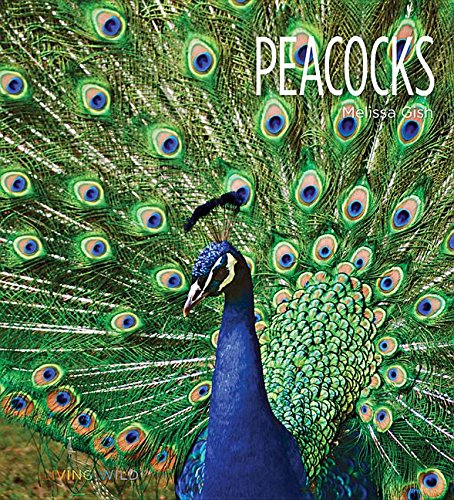 Peacocks - MELISSA GISH