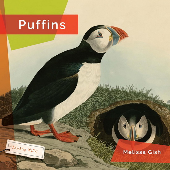 Puffins - MELISSA GISH