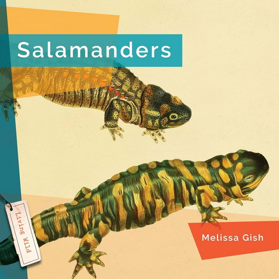 Salamanders - MELISSA GISH