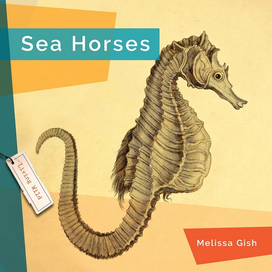 Seahorses - MELISSA GISH