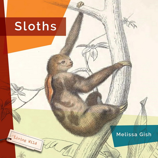 Sloths - MELISSA GISH