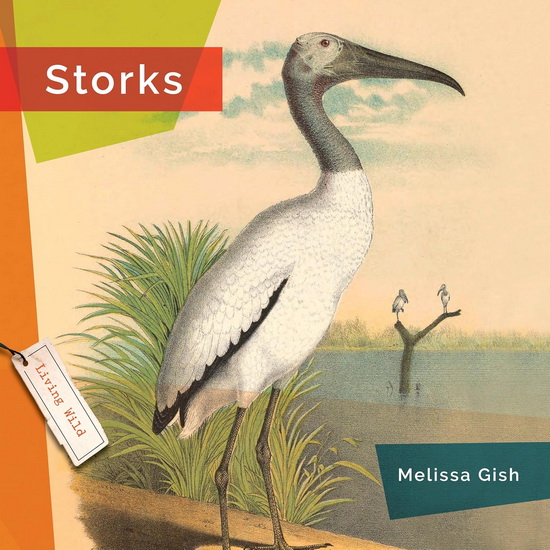 Storks - MELISSA GISH