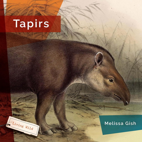 Tapirs - MELISSA GISH