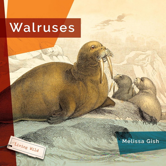 Walruses - MELISSA GISH