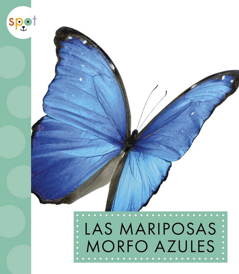 Las mariposas morfo azules - ALISSA THIELGES