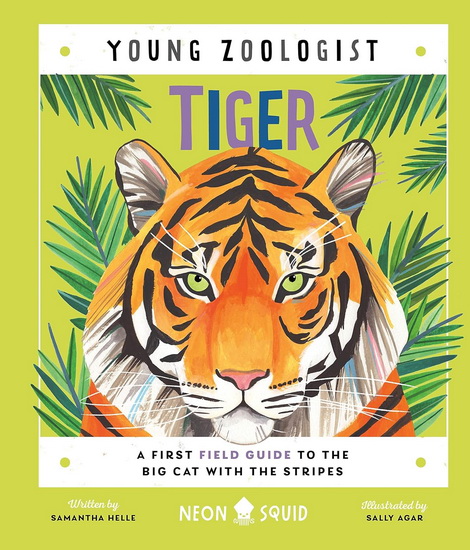 Tiger (Young Zoologist): A First Field Guide to the Big Cat with the Stripes - SAMANTHA HELLE - SALLY AGAR