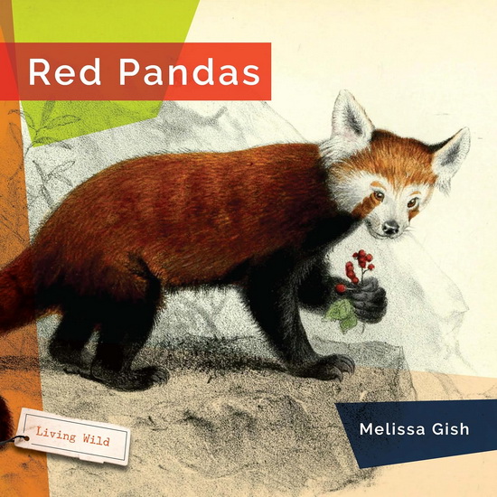 Red Pandas - MELISSA GISH