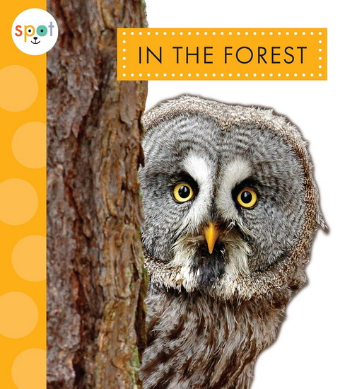 In the Forest - ALISSA THIELGES