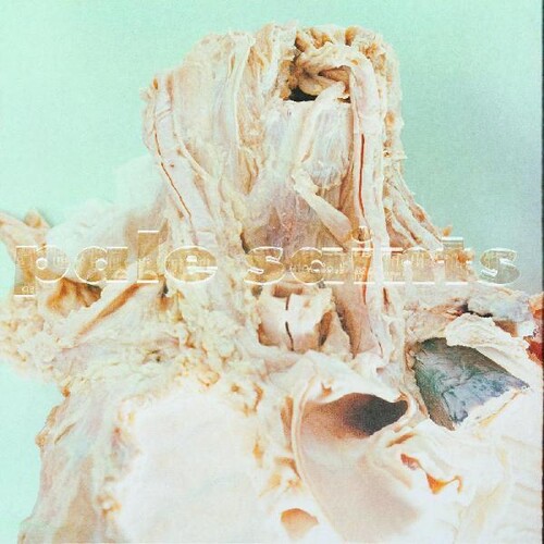 In Ribbons (30th Anniversary Ed.)(Vinyle) - PALE SAINTS