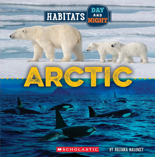 Arctic (Wild World: Habitats Day and Night) - BRENNA MALONEY