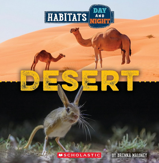 Desert (Wild World: Habitats Day and Night) - BRENNA MALONEY