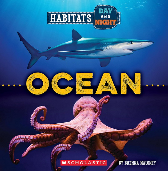 Ocean (Wild World: Habitats Day and Night) - BRENNA MALONEY