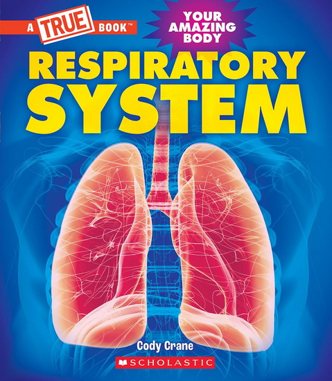 Respiratory System (A True Book: Your Amazing Body) - CODY CRANE
