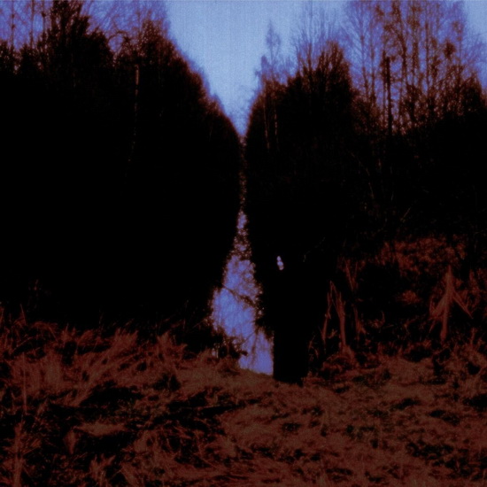 My Arms, Your Hearse - OPETH