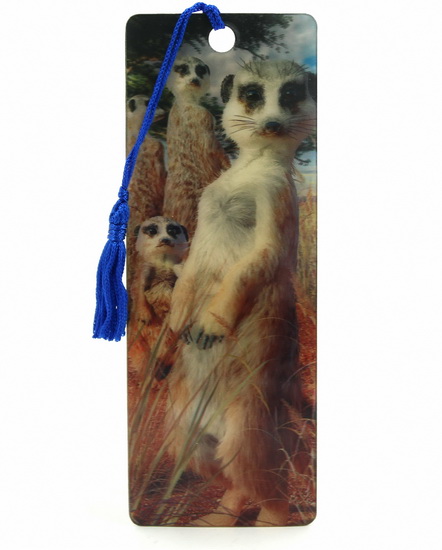 Signet 3D Bande de suricat