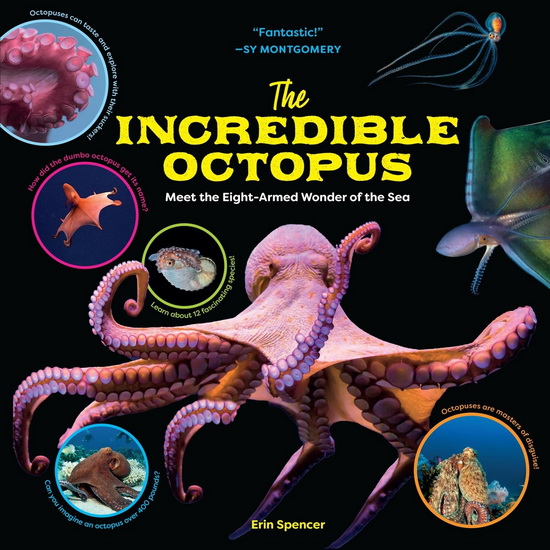 The Incredible Octopus: Meet the Eight-Armed Wonder of the Sea - ERIN SPENCER