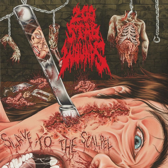 Slave To The Scalpel - 200 STAB WOUNDS