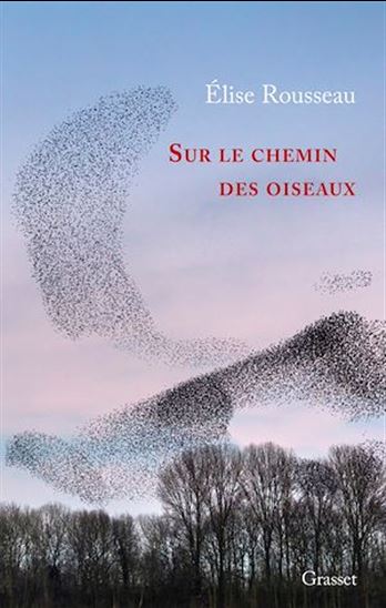 Sur le chemin des oiseaux - ÉLISE ROUSSEAU