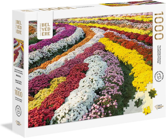 Jardin de chrysanthèmes 1000 mcx