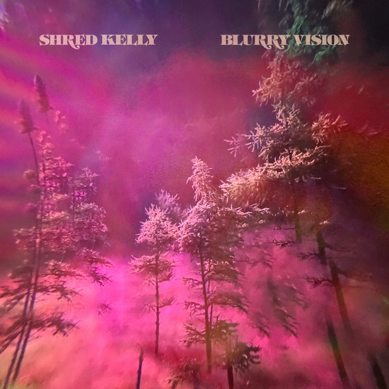 Blurry Vision (Vinyle) - SHRED KELLY